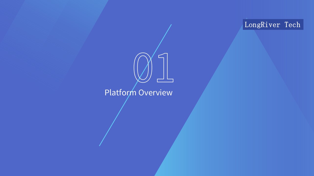 LongRiverTech Bank-enterprise direct payment management platform Overview