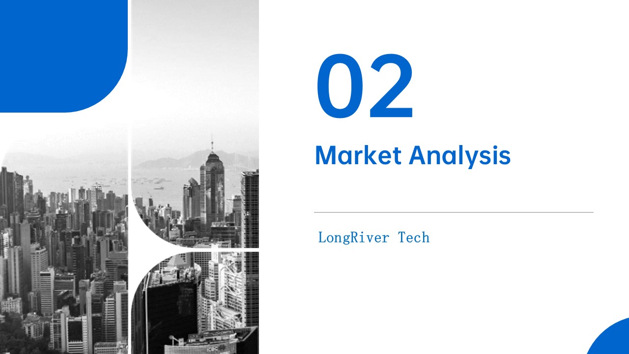 LongRiverTech Business Plan for Internet Online Service Platform for Liquidity Management Market Analysis