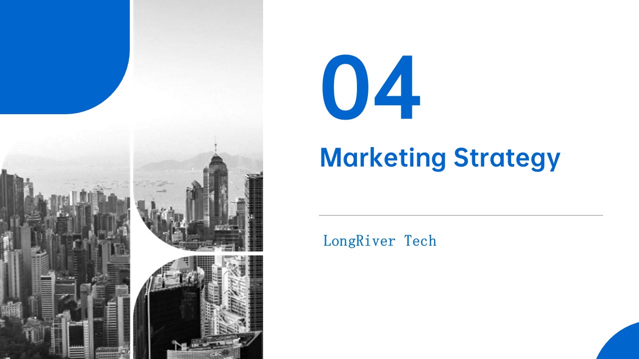 LongRiverTech Business Plan for Internet Online Service Platform for Liquidity Management Marketing Strategy